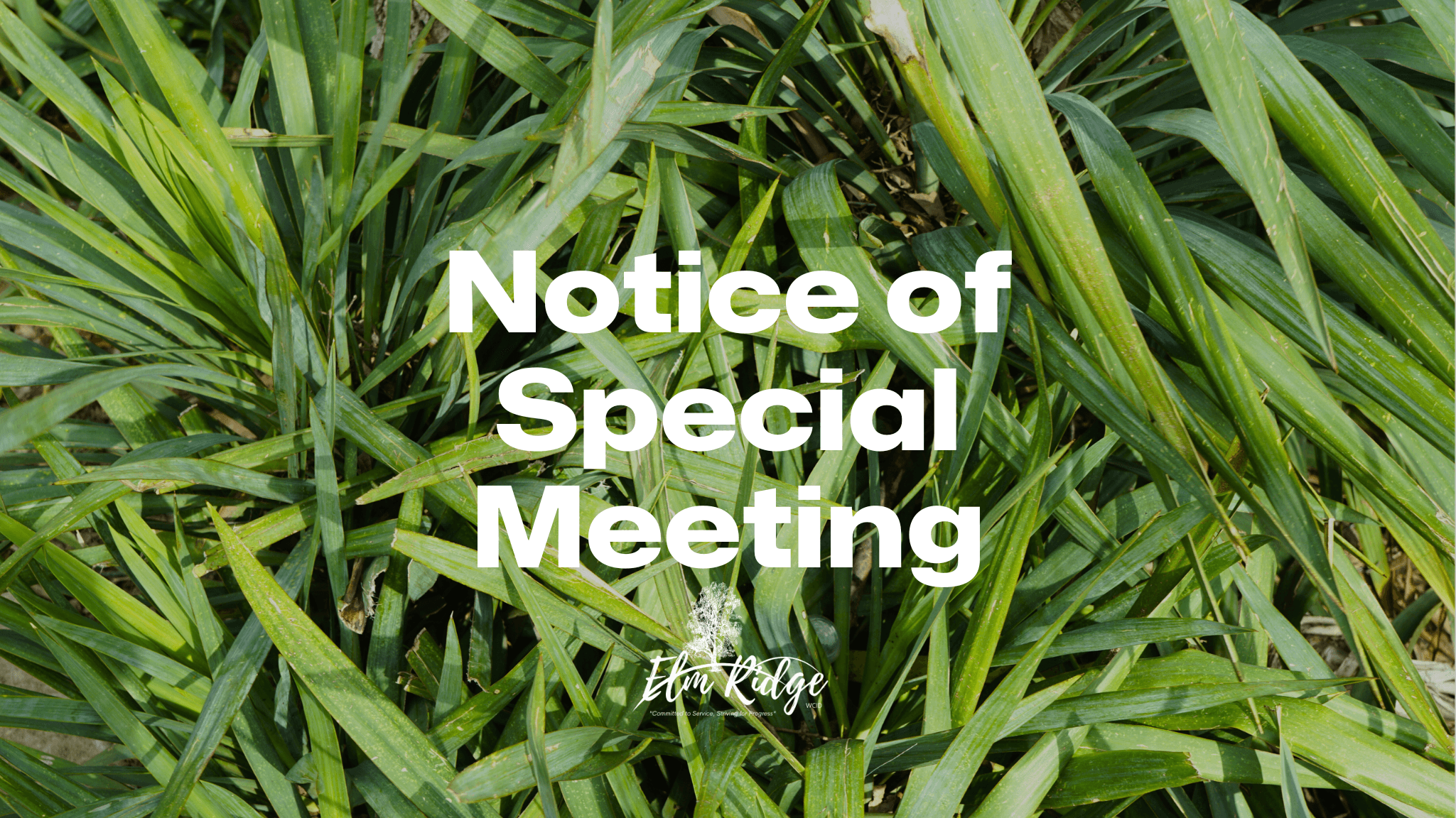 ElmRidge-specialagenda