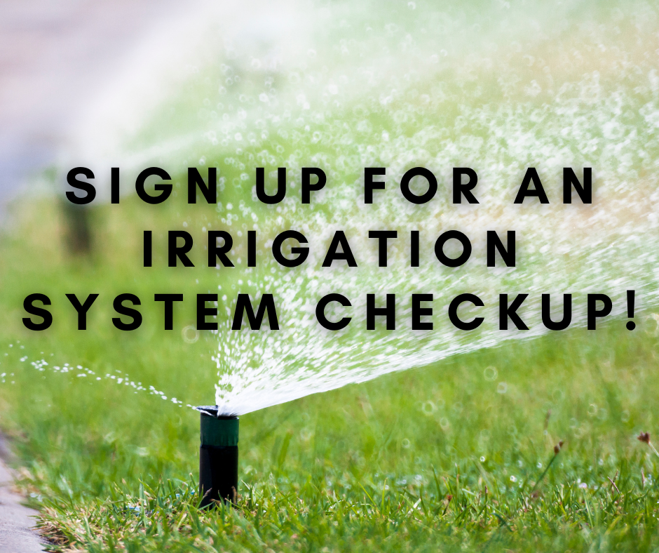 irrigation system checkup